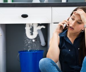 About Emergency plumbing pros Lake Hamilton, FL